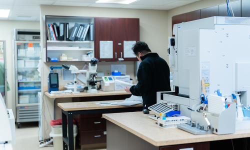 castro-img-services-lab services